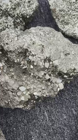 Natural Pyrite Cluster for Wealth Attraction & Prosperity